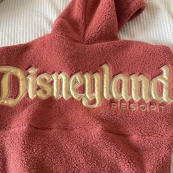 Last Chance - Disneyland Sherpa Hoodie - Picture 7 of 9
